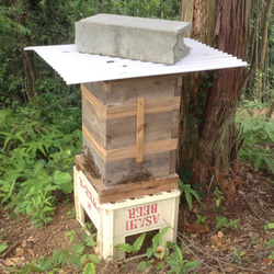 日本ミツバチ 巣箱 日本蜜蜂  日本みつばち 重箱式3段 7枚目の画像