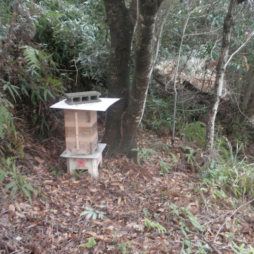 日本蜜蜂巣箱四段
