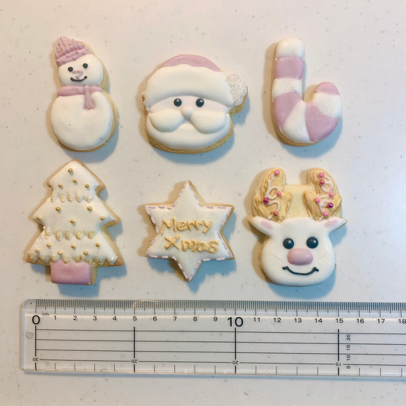 【クリスマス2020予約販売受付中】アイシングクッキー6枚セット 3枚目の画像