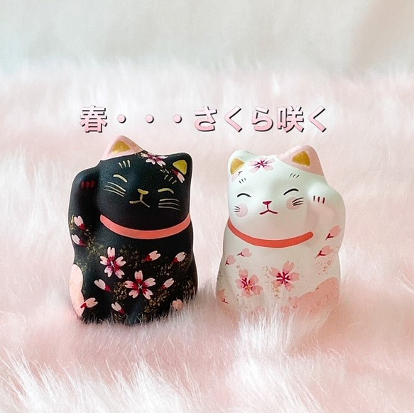　春限定　猫　桜のペア招き猫　桜柄 8枚目の画像