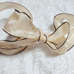 フランス製　刺繍風　ワイヤー入り4ｃｍ幅 ベージュ系　縁取りブラウン 2枚目の画像