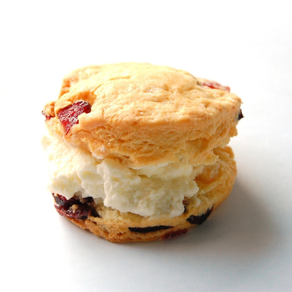 母の日 スコーンクリームサンド６個入り フラワーアレンジメント付き 送料無料 2枚目の画像