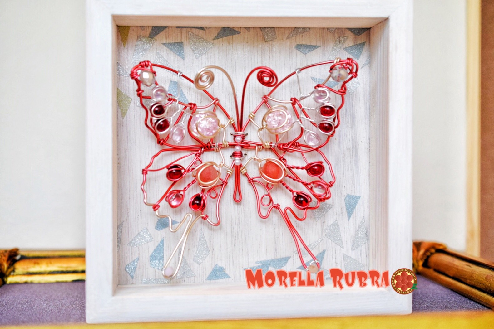 小型標本展示箱 6箱 【公式通販】