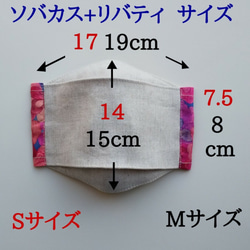 ソバカスリネンの折り上げ立体マスク (S～M)　リバティワンポイント付　EB 5枚目の画像