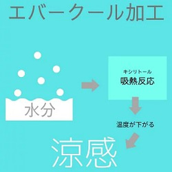 みか様専用のカート　ソバカスリネンの折り上げ立体マスク (S)7枚他 8枚目の画像