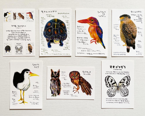 1_3c5b9d22b9325f0084db7c7a966e