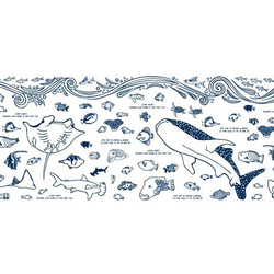 原画 1点もの Drawing シロハラクイナ 額付き 絵画 ミオ 通販 14393447