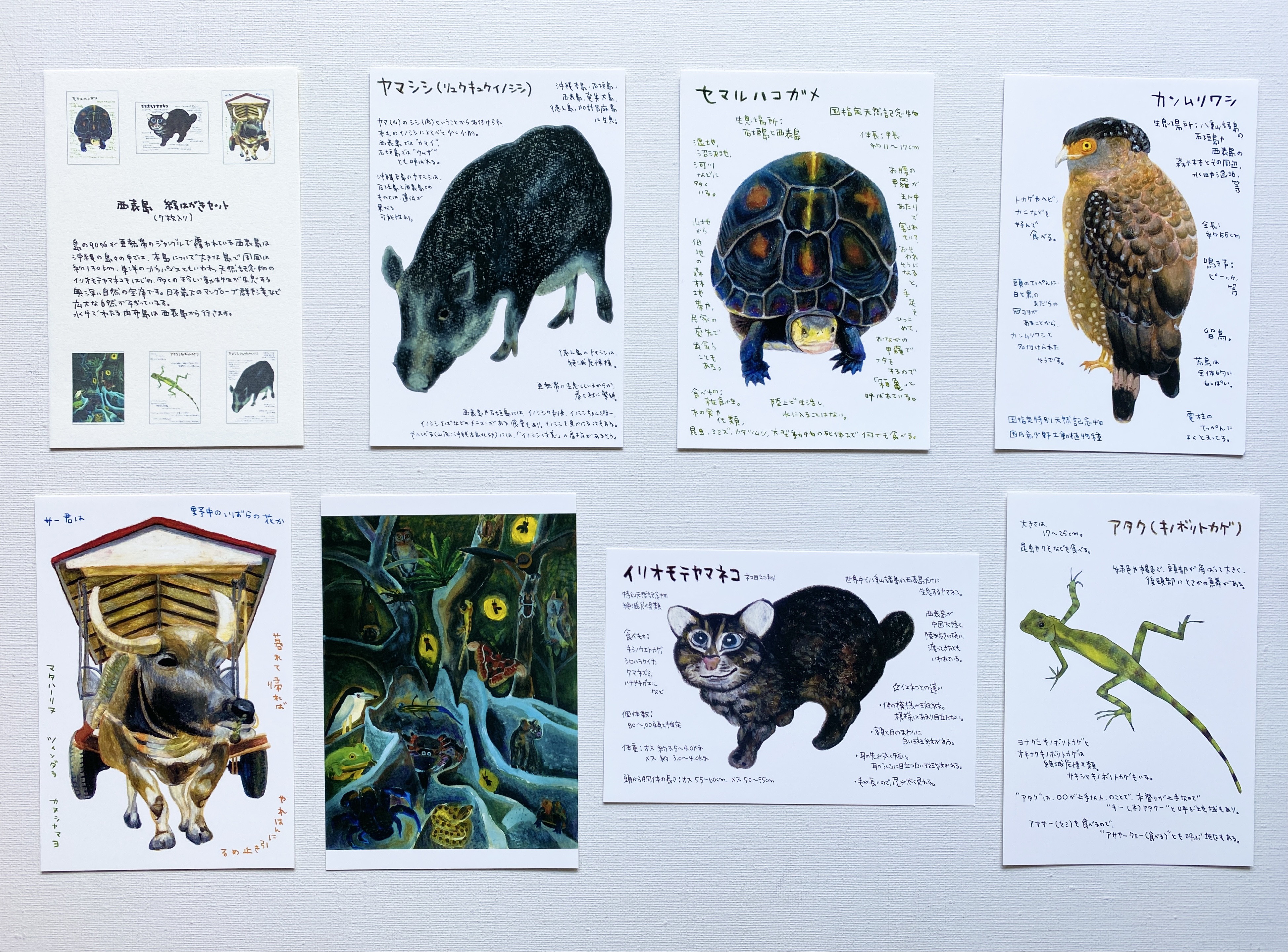 絵はがきセット①１２０枚