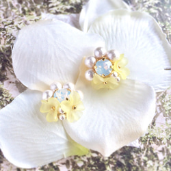 Yellow sheer flower cotton pearl earrings 第1張的照片