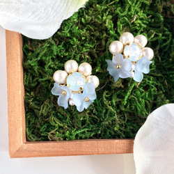 Blue Flower Cotton Pearl Earrings 第2張的照片
