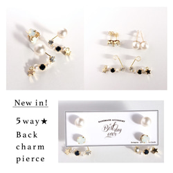 5way ☆ Back charm Bijou pierce set * 第2張的照片