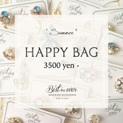 [夏天的幸運袋]相當於9500日元！Happy Bag“SUMMER” 第1張的照片