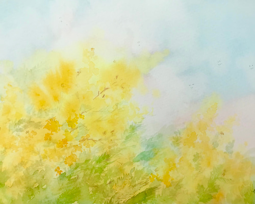 garden＊4号サイズ　絵画　原画　風景画　春　ラベンダー　ミモザ　菜の花 garden＊4号サイズ 絵画 原画 風景画 春 ラベンダー 菜の花