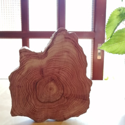 【淡路島の天然杉使用】天然木のなんでもプレート 1枚目の画像