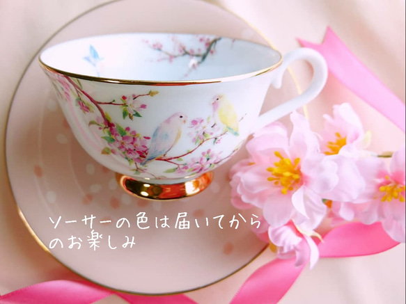 小鳥ちゃんシリーズ】届いてからのお楽しみ小鳥ちゃんの春色