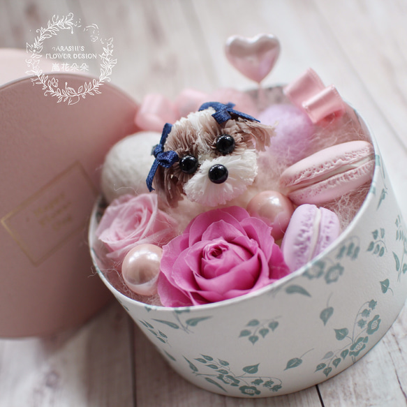 Happy Flower Dog-禮物盒西施|不凋花|永生花|康乃馨|寵物|西施 第1張的照片