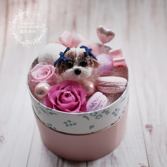 Happy Flower Dog-禮物盒西施|不凋花|永生花|康乃馨|寵物|西施 第2張的照片