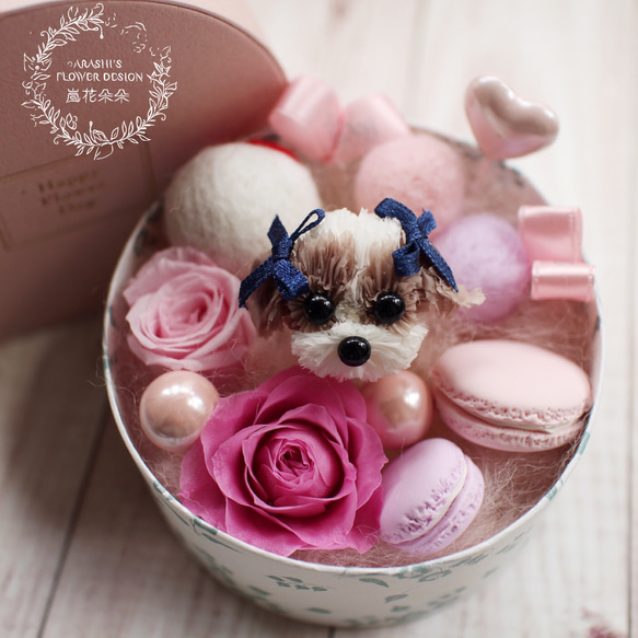 Happy Flower Dog-禮物盒西施|不凋花|永生花|康乃馨|寵物|西施 第3張的照片