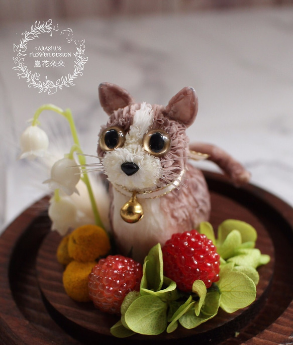 Happy Flower Dog-莓果貓咪|不凋花|永生花|康乃馨|寵物|貓 第1張的照片