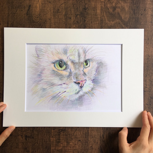 色鉛筆画　絵画　ネコの絵　原画　額付き(B5サイズ) 色鉛筆画 絵画 ネコの絵 原画 額付き｜Yahoo!フリマ（旧PayPay
