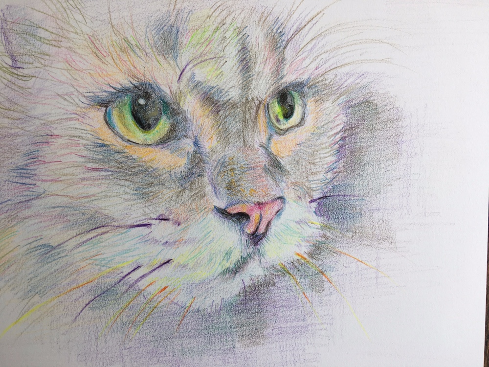 色鉛筆画　絵画　ネコの絵　原画　額付き(B5サイズ) 色鉛筆画 絵画 ネコの絵 原画 額付き(B5サイズ