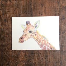 アクリル画　キリン キリン ＃アート ＃絵画 ＃原画 ＃アクリル画 20cm角 絵画