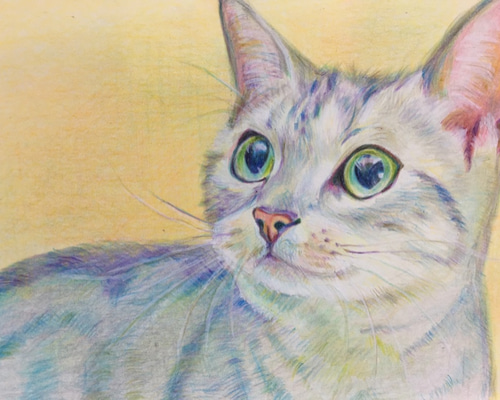 専用　色鉛筆画　原画　絵画　オーダーページです d3e55c8418f231b182db298a811e2e