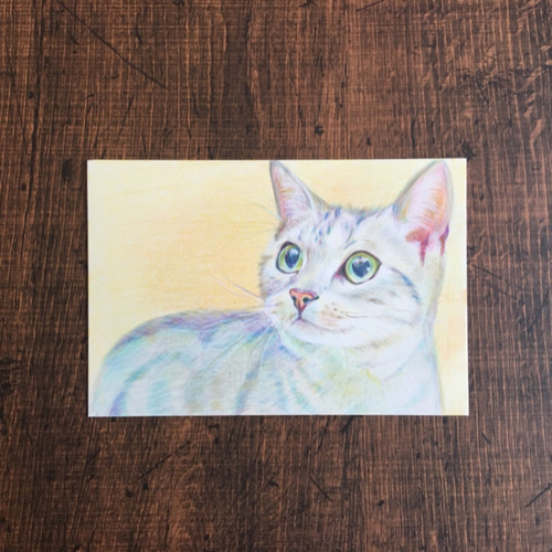 あなたの大切な人、ペットを絵画にします。色鉛筆画 ポスト