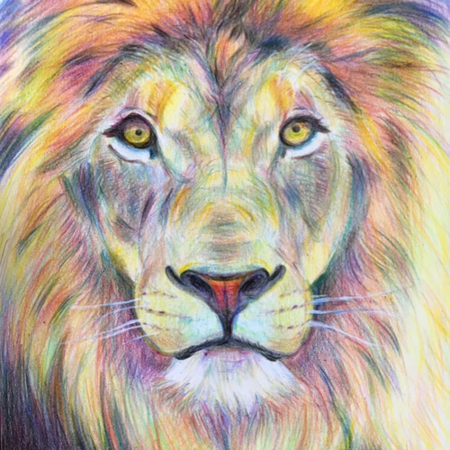 あなたの大切な人、ペットを絵画にします。色鉛筆画 ポスト あなたの大切な人、ペットを絵画にします。色鉛筆画 ポスト