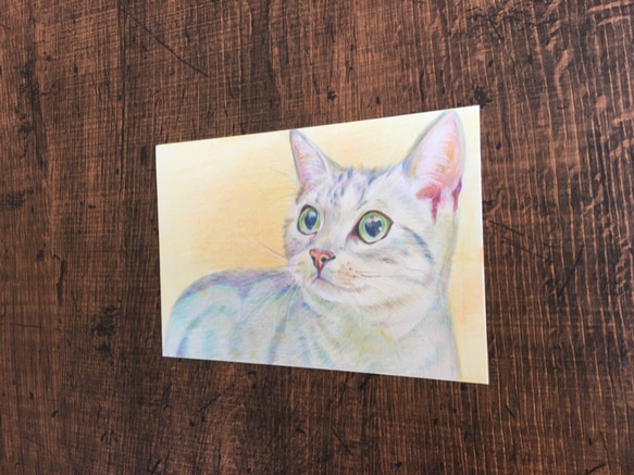 猫　ネコ【原画 ポストカードサイズ 色鉛筆画】 2枚目の画像