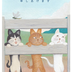 とんぼ No.5 / 猫の絵葉書・ポストカード ＜暑中お見舞い用＞ 1枚目の画像