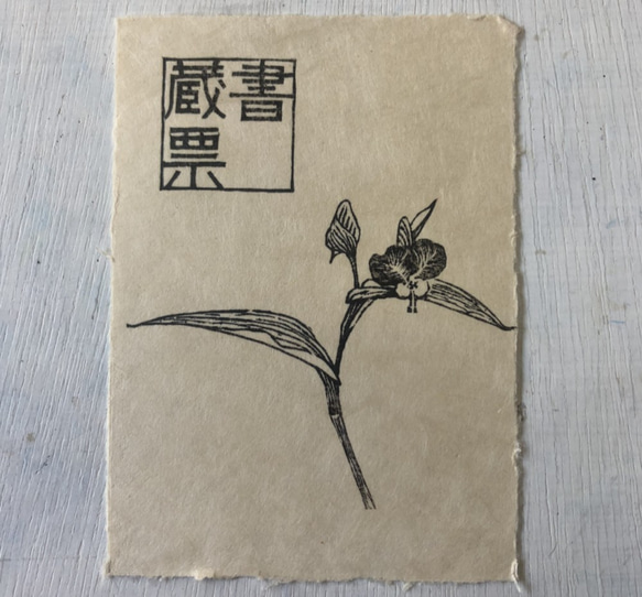 Flower / 蔵書票 1枚目の画像