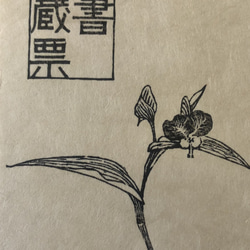 Flower / 蔵書票 2枚目の画像