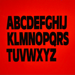 ネームタンクトップ（キナリ）♡名入れ♡犬服 6枚目の画像