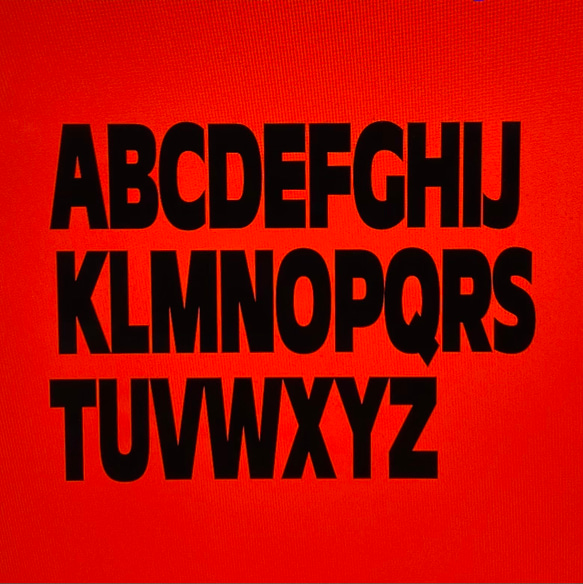 ネームタンクトップ（キナリ）♡名入れ♡犬服 6枚目の画像