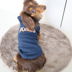 ネイビーネームパーカー(薄手タイプ）♡名入れ♡犬服 2枚目の画像