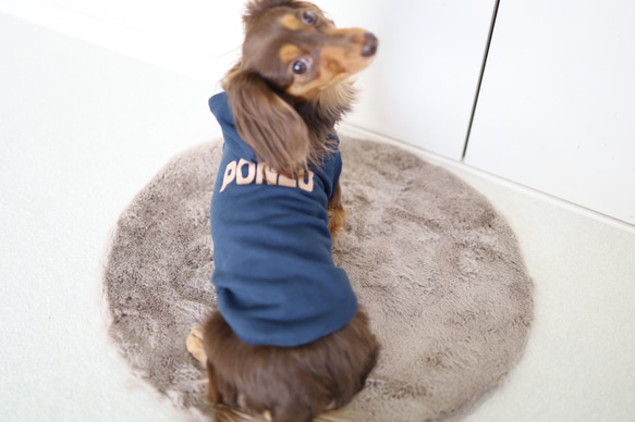 ネイビーネームパーカー(薄手タイプ）♡名入れ♡犬服 2枚目の画像