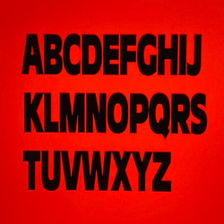 ネイビーネームパーカー(薄手タイプ）♡名入れ♡犬服 3枚目の画像