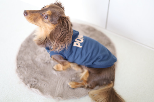 ネイビーネームパーカー(薄手タイプ）♡名入れ♡犬服 4枚目の画像