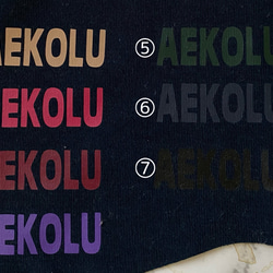 ネイビーネームパーカー(薄手タイプ）♡名入れ♡犬服 5枚目の画像