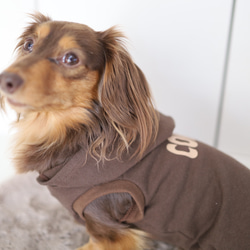 ブラウンネームパーカー(薄手タイプ）♡名入れ♡犬服 2枚目の画像
