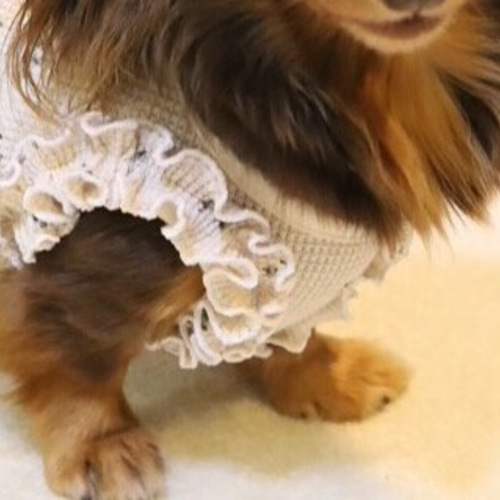 犬服　ハンドメイド　人気のくすみカラー♪ ワッフルニットのパーカータンクトップ 犬服 ハンドメイド 人気のくすみカラー♪ ワッフルニットのパーカー