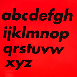 うちのこねーむ♡タンクトップ♡名入れ♡犬服 8枚目の画像