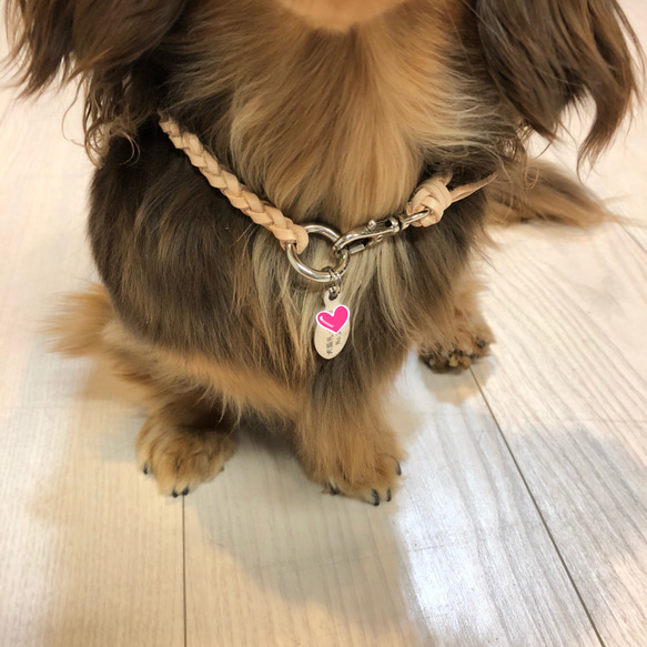 犬　猫♡本革♡ネックレス♡アクセサリー 5枚目の画像