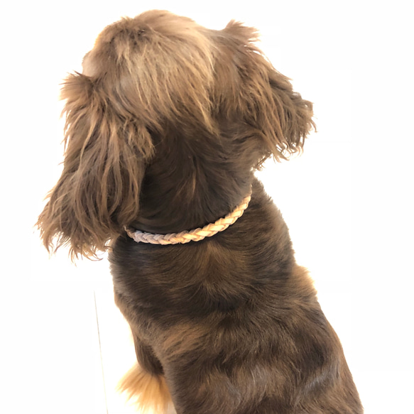 犬　猫♡本革♡ネックレス♡アクセサリー 6枚目の画像