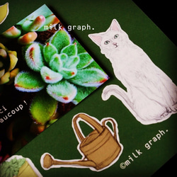 猫と多肉植物（クリア）　レターセット 5枚目の画像