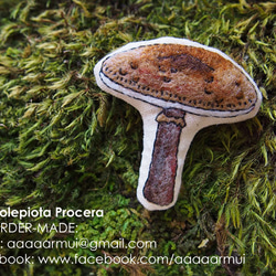 キノコ．フェルトブローチ：Macrolepiota Procera 1枚目の画像