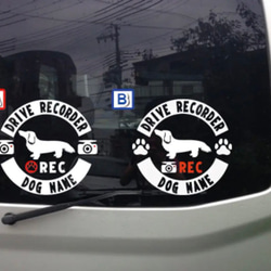 【送料無料】ミニチュアダックスフント ドラレコ ステッカー リアガラス 車 犬　選べるデザイン ミニチュアダックス 5枚目の画像
