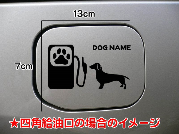 《送料無料》カニンヘンダックスフンド 犬 DOG ステッカー リアガラス 給油口 3枚目の画像