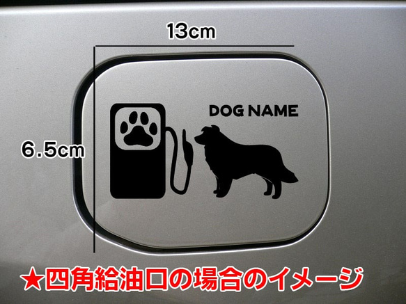 《送料無料》ボーダーコリー 犬 DOG ステッカー 愛犬家 給油口 車 3枚目の画像